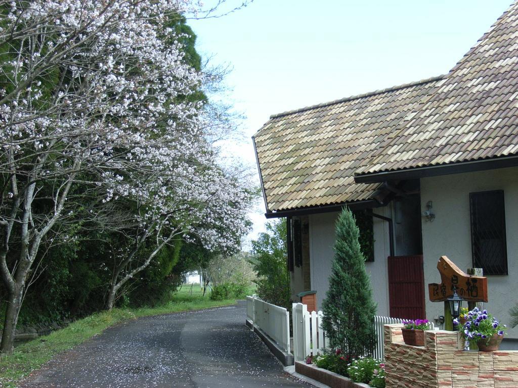 Minshuku Hoshi No Sumika Hotel Shibushi Buitenkant foto